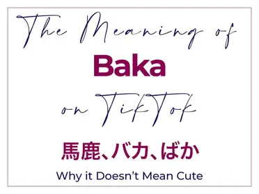 Baka meaning